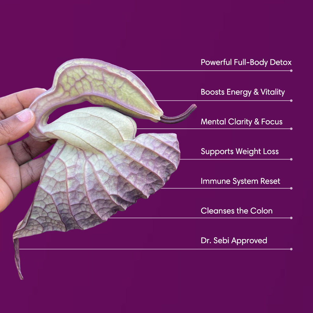 Duck Flower Detox - Dr Sebi Approved