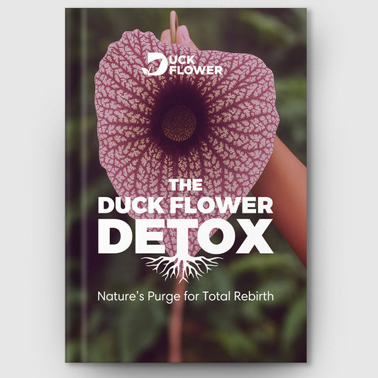 Duck Flower Detox eBook