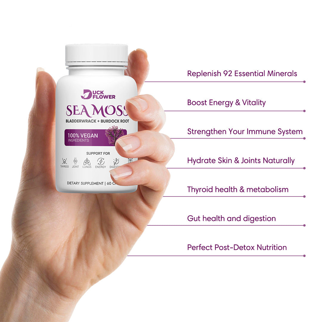 Sea Moss With Bladderwrack & Burdock Root